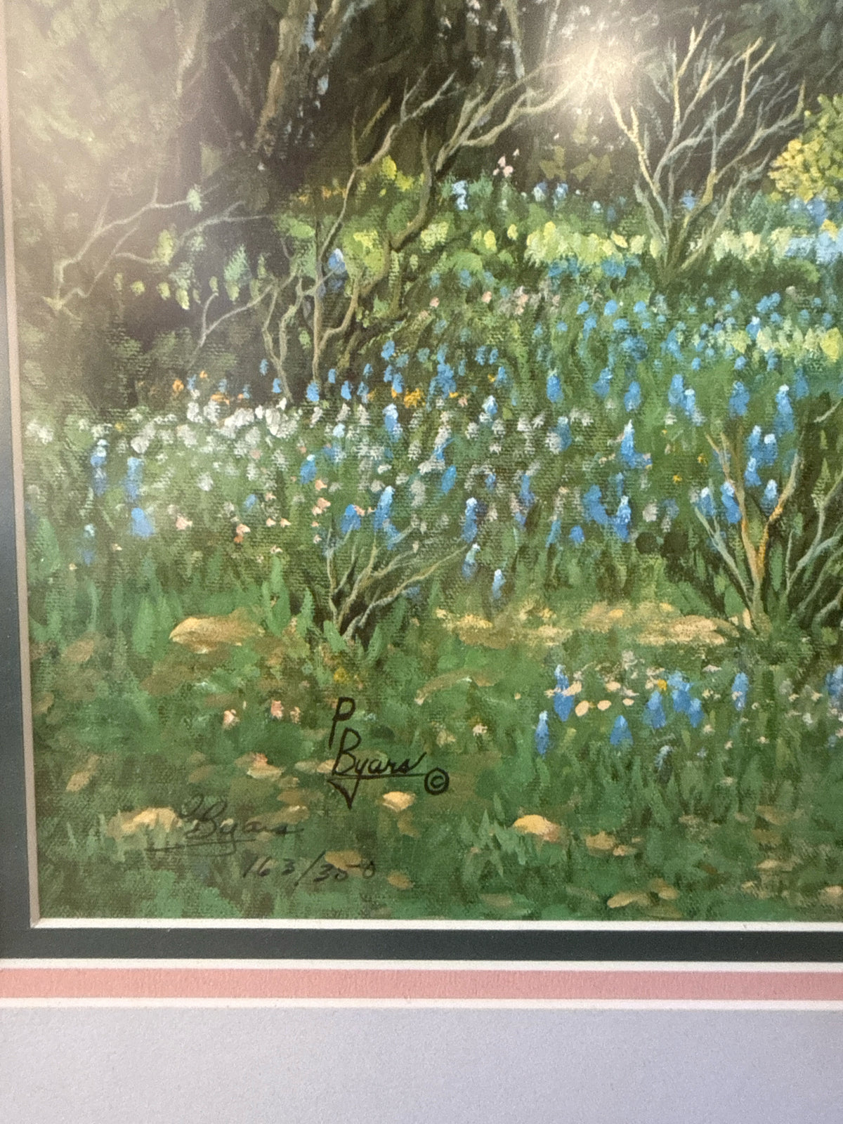 Signed & #'d Print-TX artist-Bluebonnet & Penny Backer Bridge w/City Scape & Woo