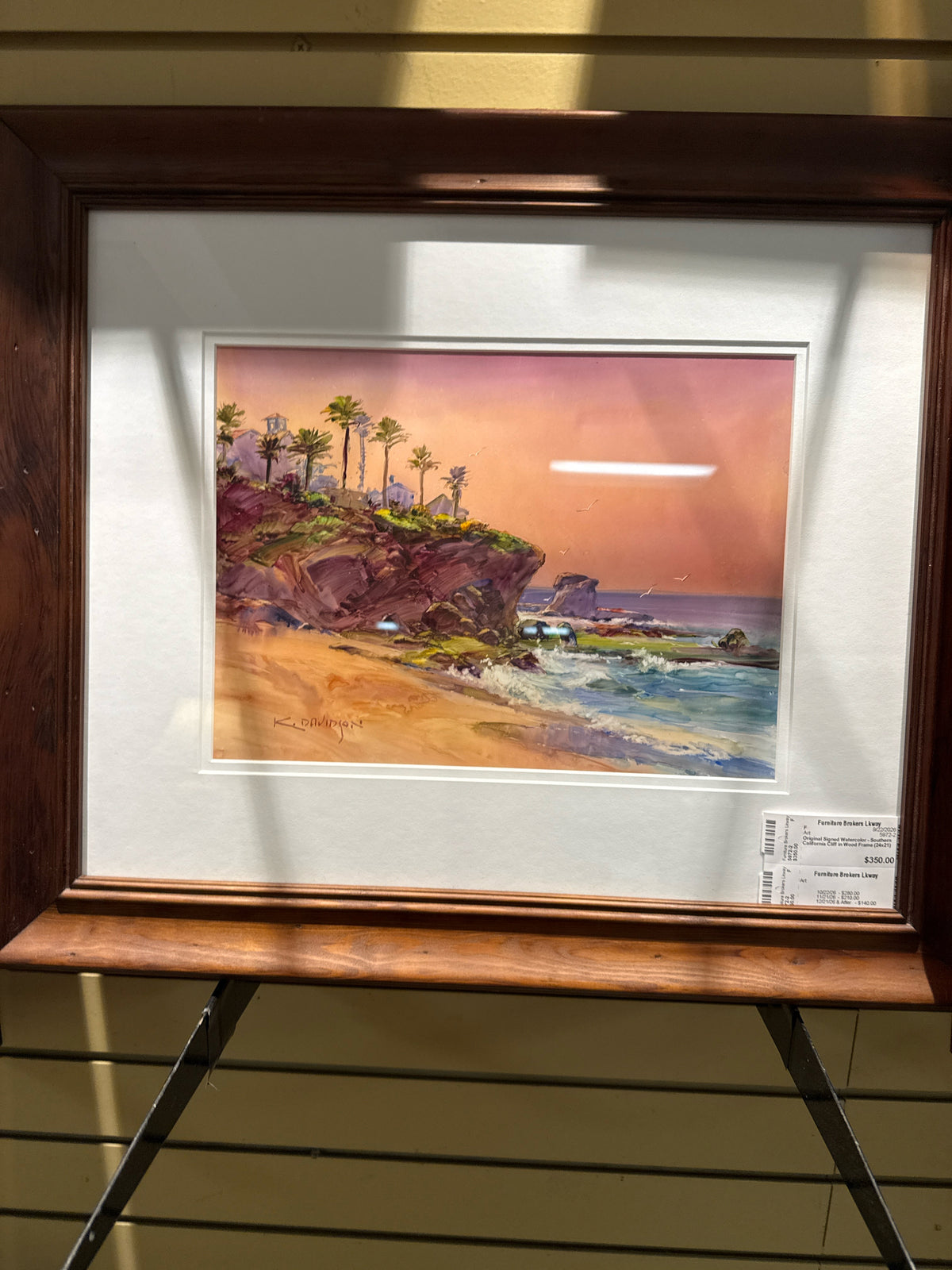 Original Signed Watercolor - Southern California Cliff in Wood Frame (24x21)