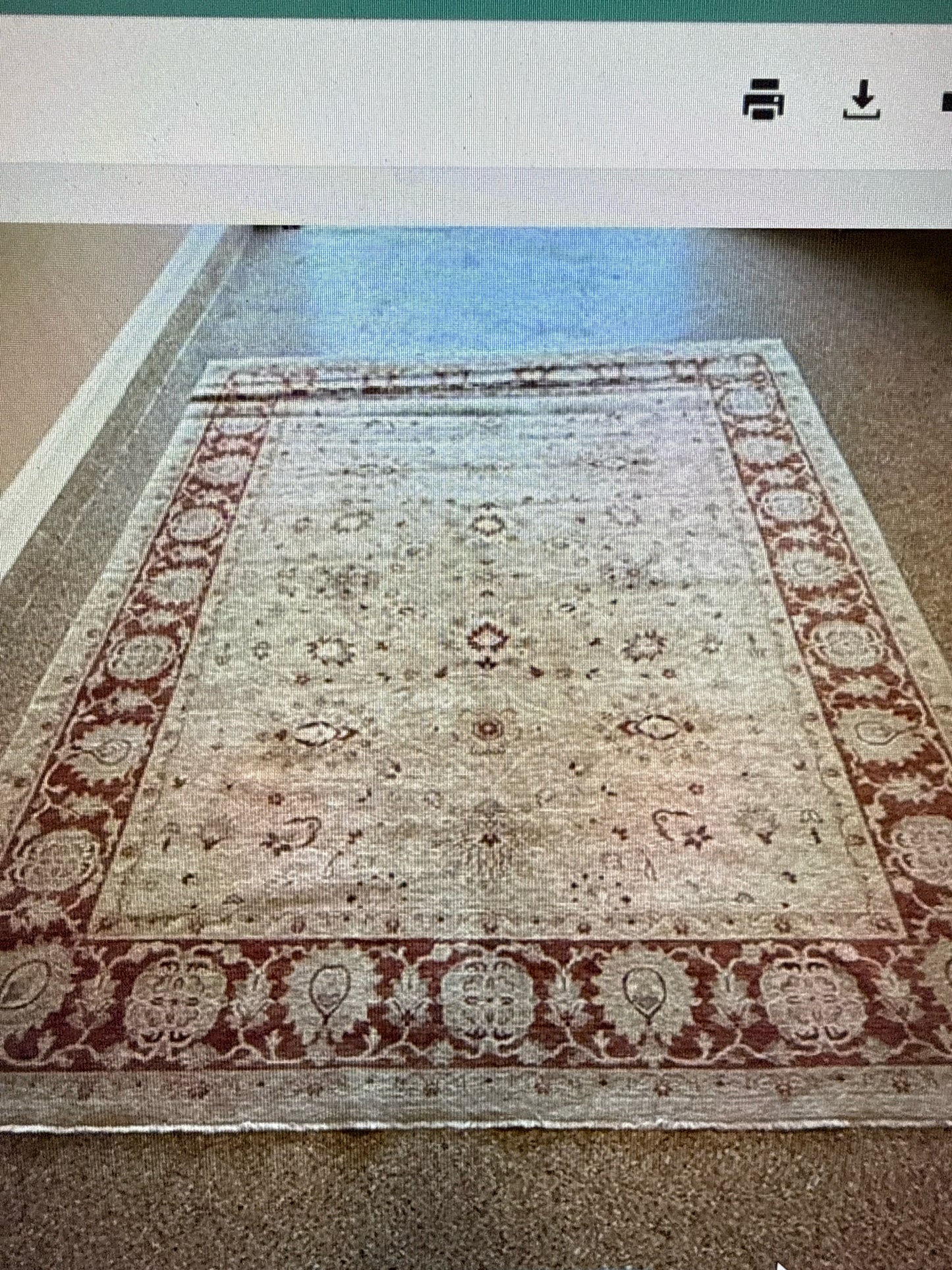 Handknotted Wool Rug w/ Fringe- Ivory and Rust ( 8x12)