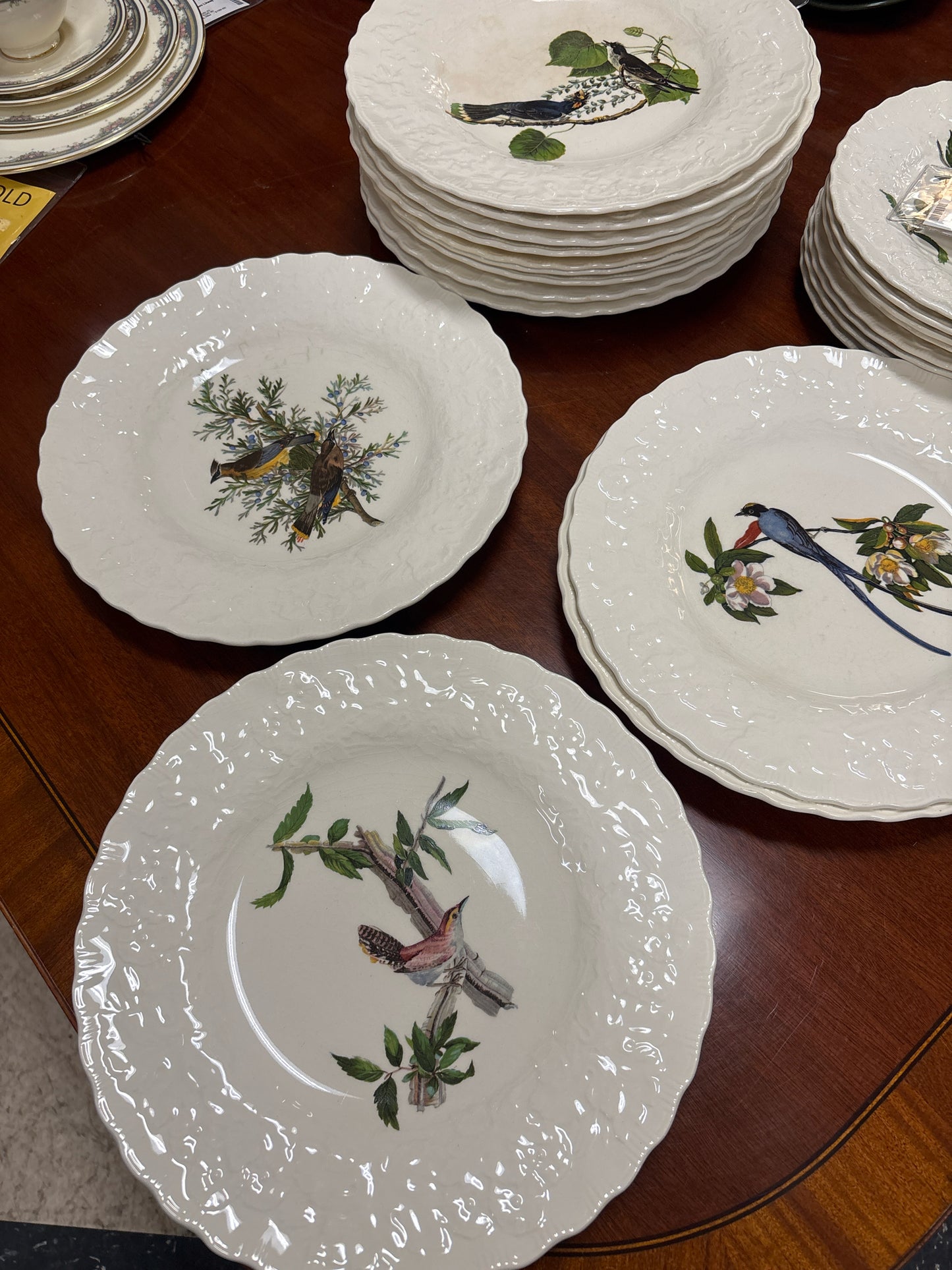 Alfred Meakin Audobon Birds of America - Dinner Plates (13)