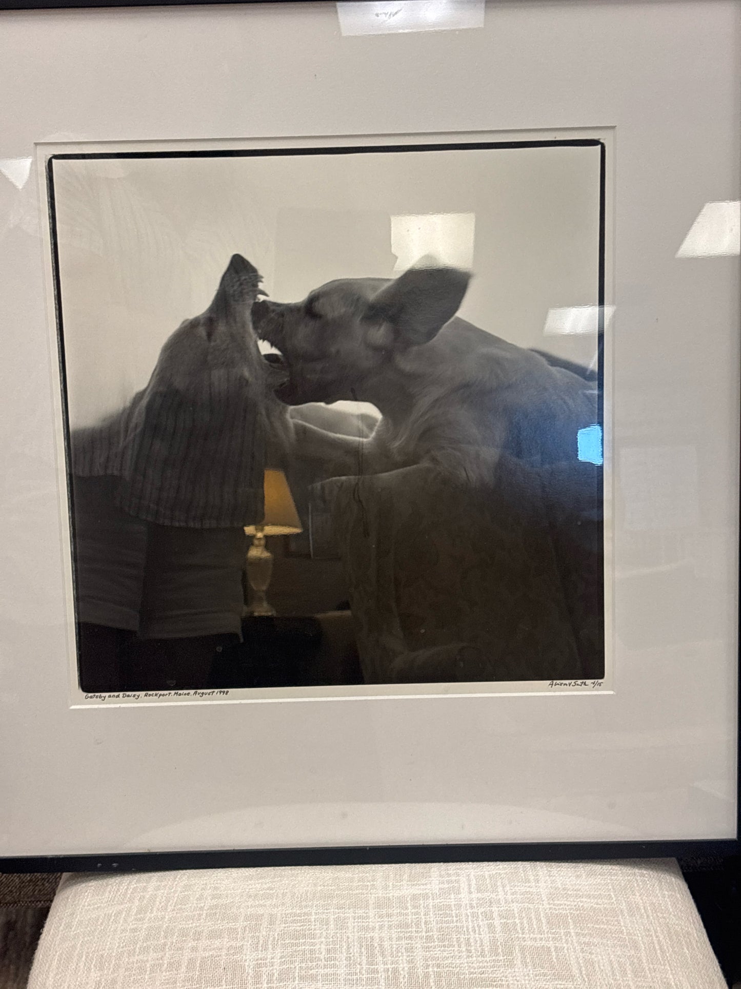 Original B&W Photograph by Dallas Artist Allison V Smith- 2 Dogs in Black Frame