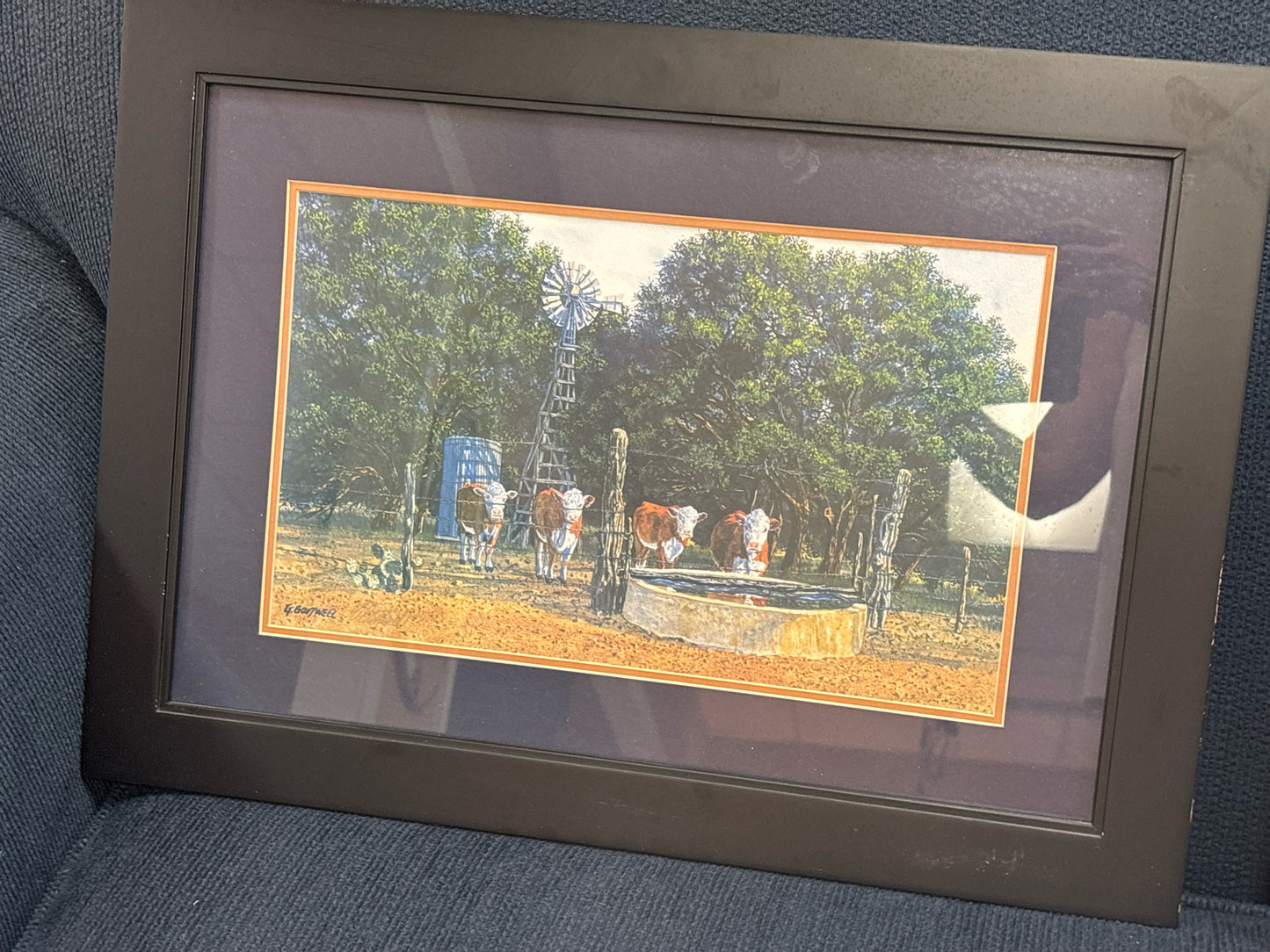 Signed - Print "Cattle" G Boutwell in Black Frame 22x16