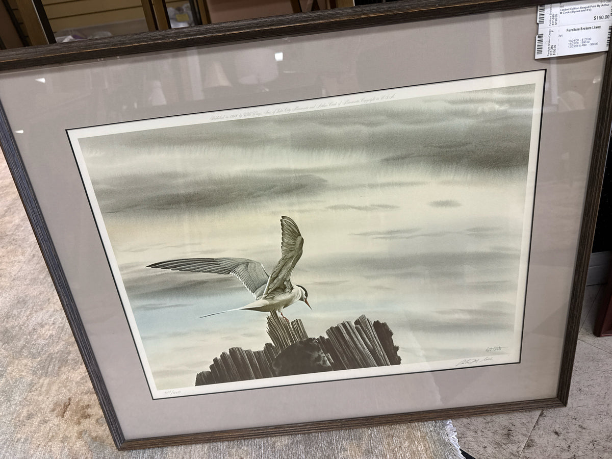 Limited Edition Seagull Print By Arthur M Cook (Signed and #'d)
