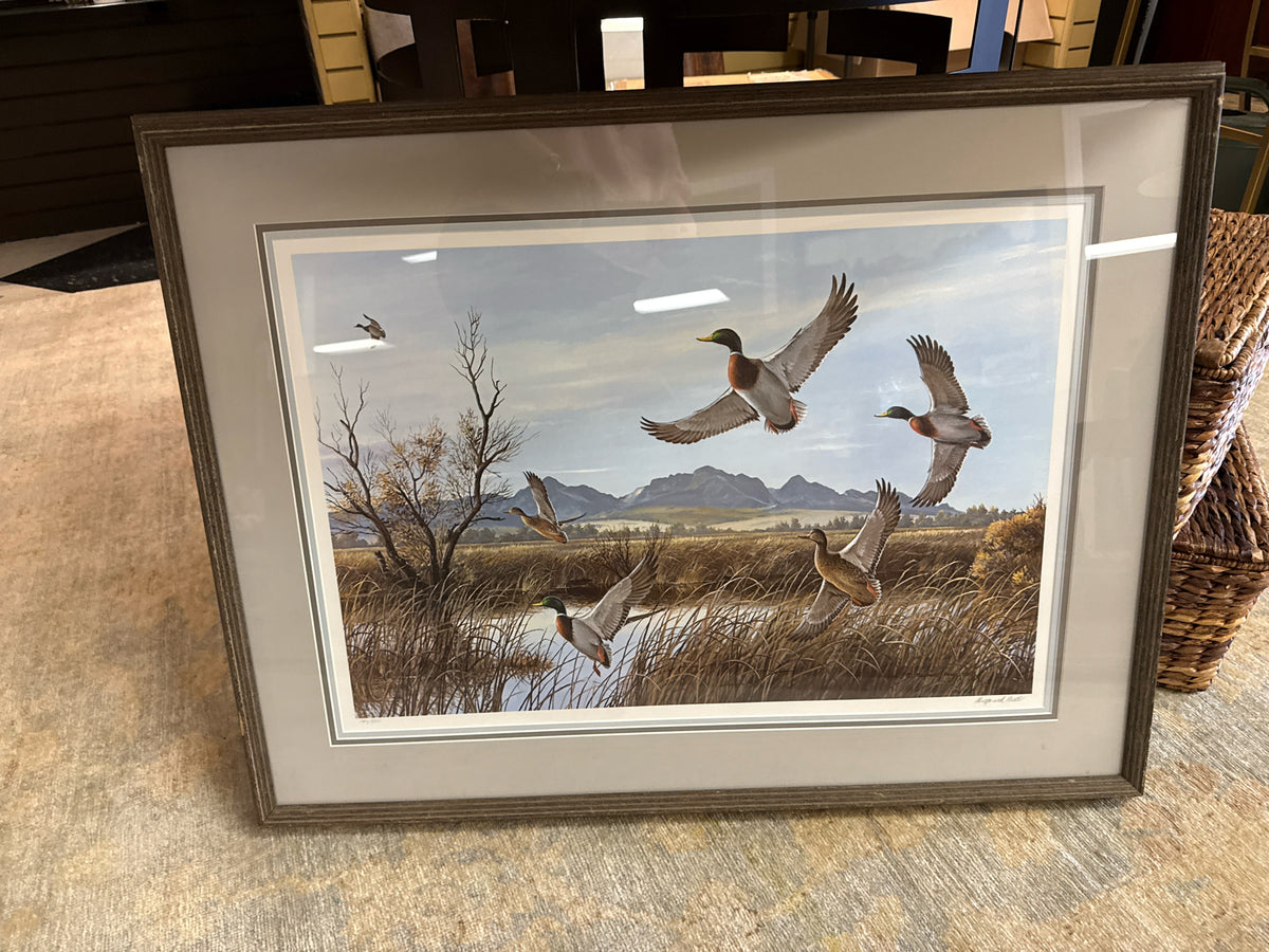 Framed Limited Edition Maynard Reece Mallard Print "Flaring Mallards"