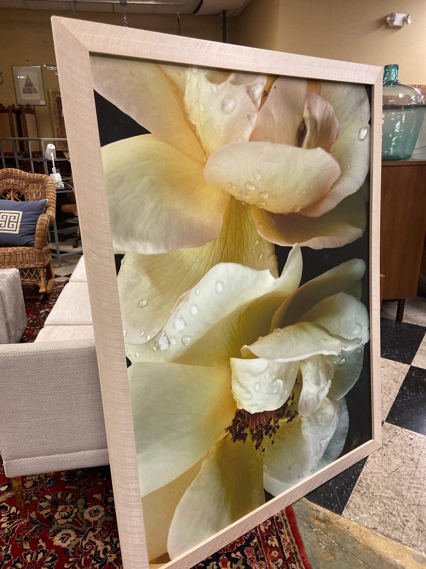 40"X50" Framed Photograph of Rose