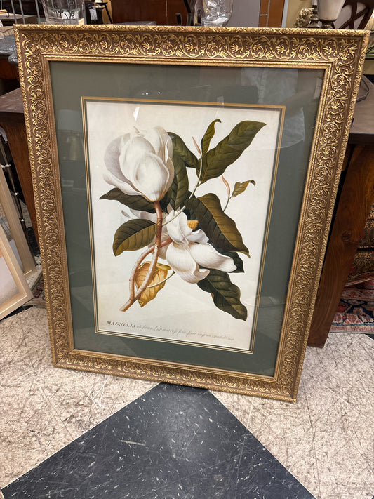 Magnolia Print in Gold Ornate Frame (32 1/4 x 39 1/4)