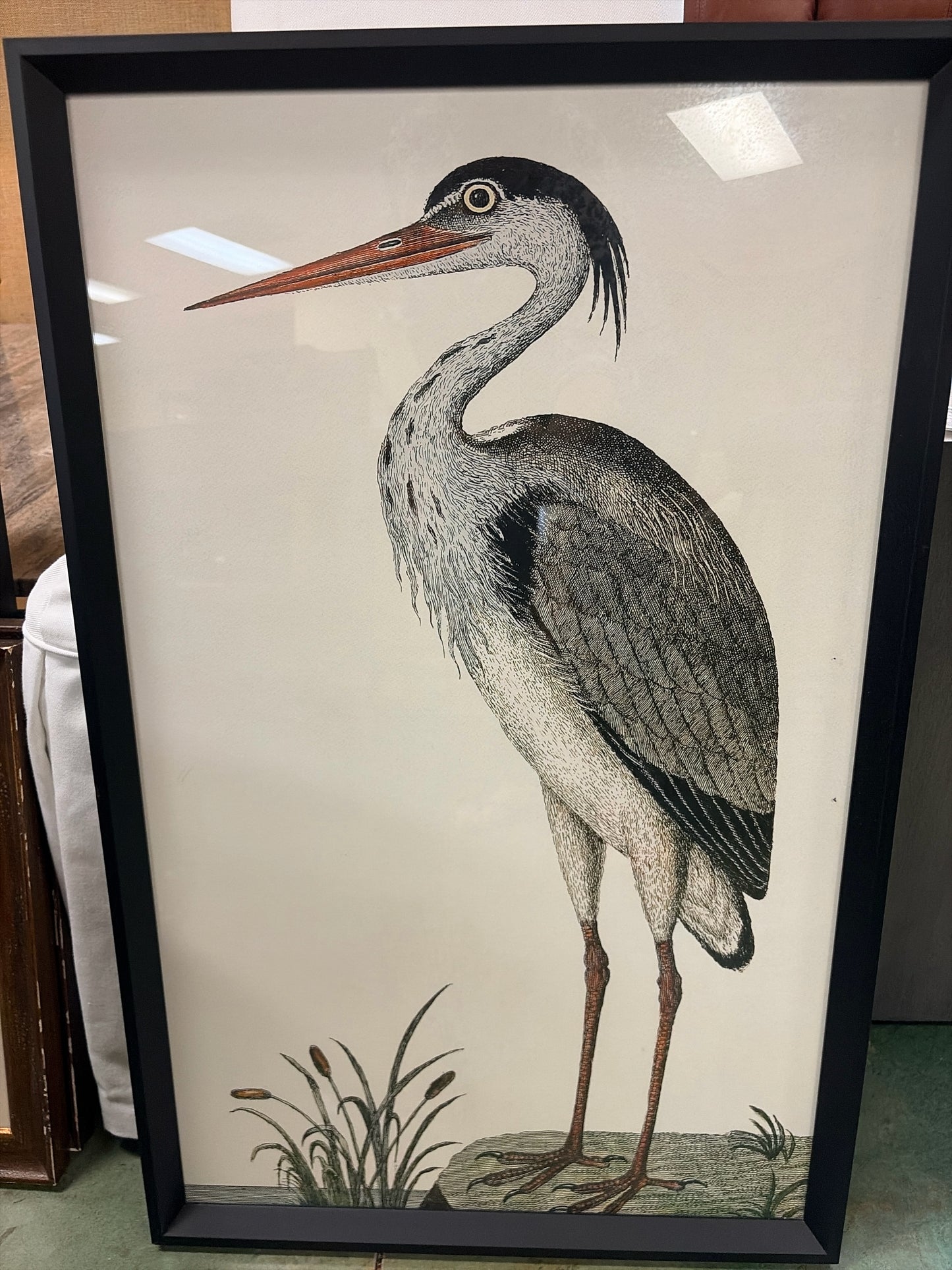 Pottery Barn Spotted Heron Print in Black Frame (19.25" w x 30.25" l x 1.5" t)