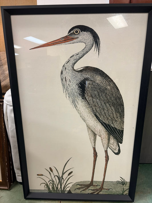 Pottery Barn Spotted Heron Print in Black Frame (19.25" w x 30.25" l x 1.5" t)