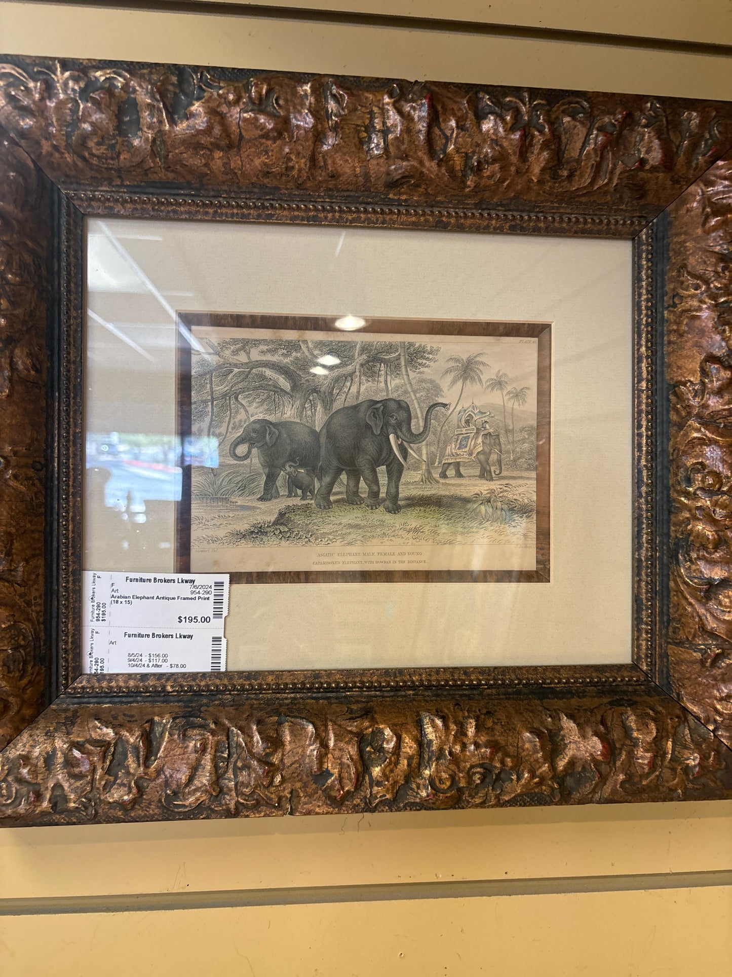 Arabian Elephant Antique Framed Print (18 x 15)