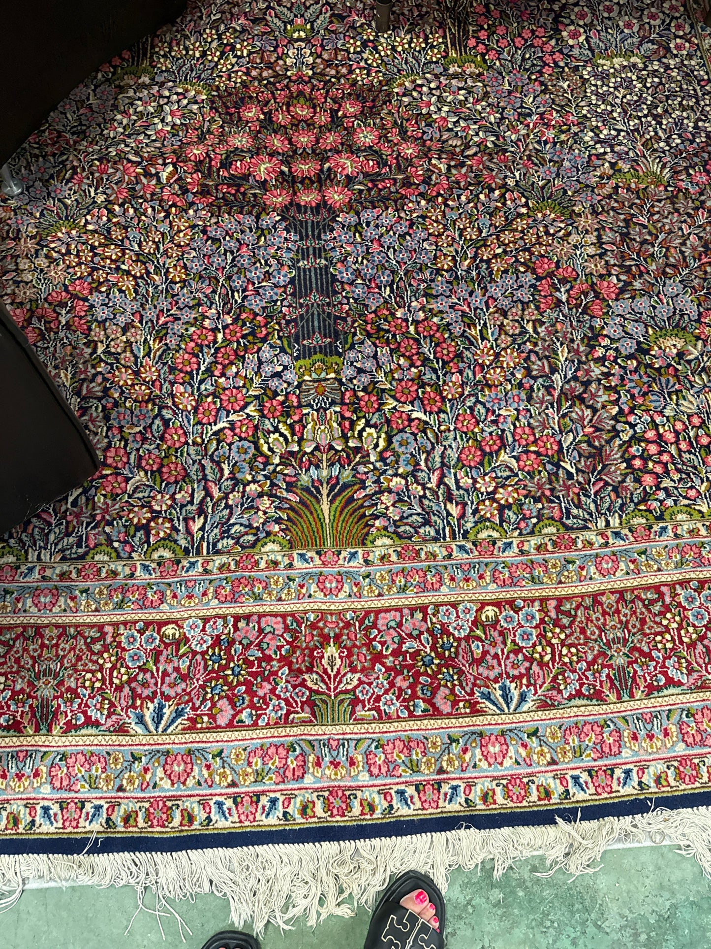 Antique Hand Knotted Persian "Tree of Life" Rug 8x11.5