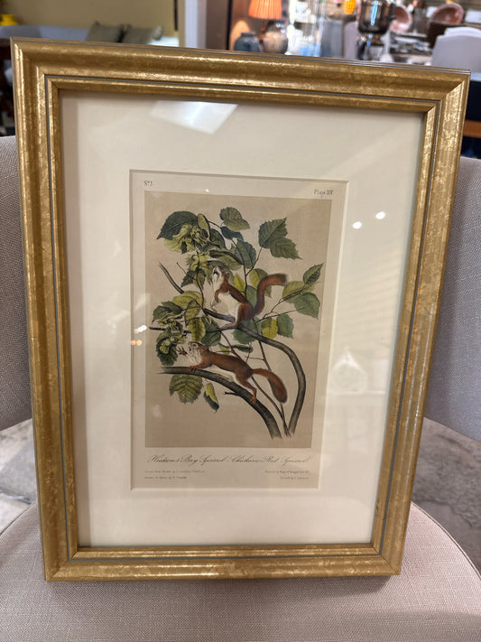 Orig. Signed Lithograph-"Hudson's Bay" John James Audubon in Gold Frame (11.5x1